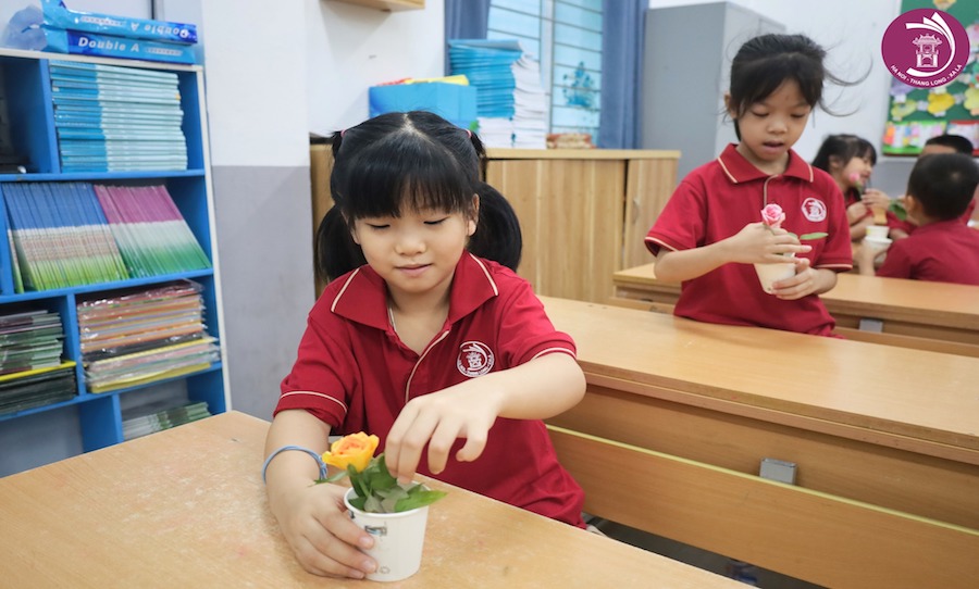 THÍ NGHIỆM KHOA HỌC VỀ SỰ QUAN TRỌNG CỦA NƯỚC ĐỐI VỚI SỰ SỐNG CỦA CÂY