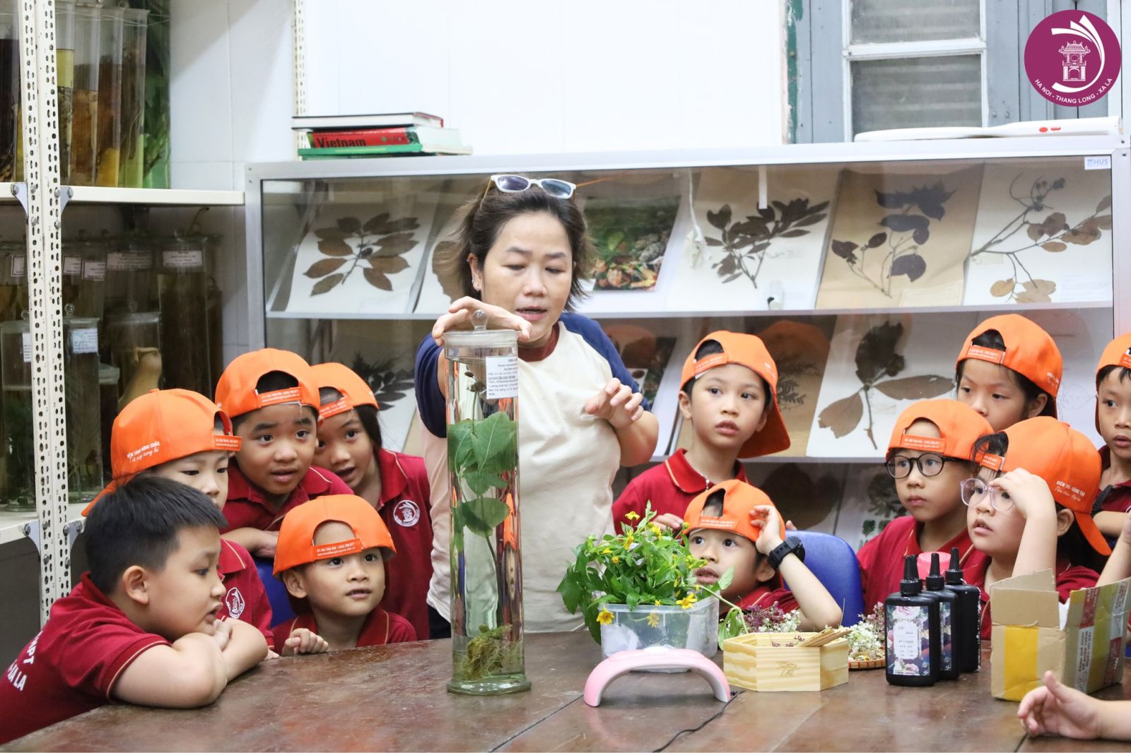 HỌC SINH TRẠI HÈ THÁNG 6 THAM QUAN BẢO TÀNG SINH HỌC - ĐAI HỌC QUỐC GIA HÀ NỘI