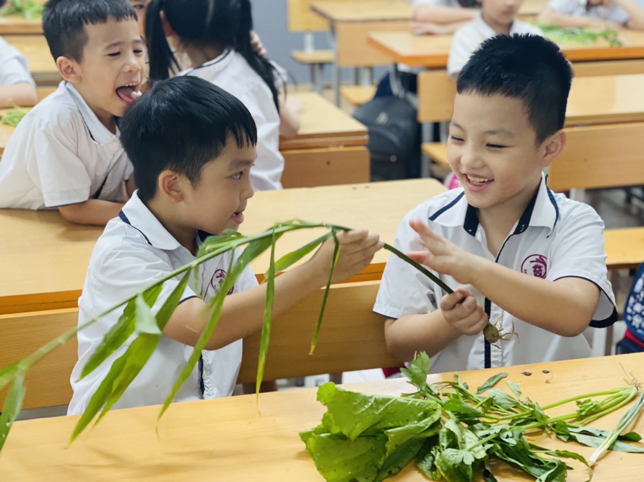 Khám Phá Sự Kỳ Diệu Của Thế Giới Thực Vật: Kết Nối Khoa Học Với Thực Tiễn Cho Học Sinh Lớp 2M